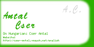 antal cser business card